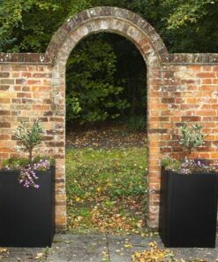 Autumn Planters with Flowers by Brick Wall